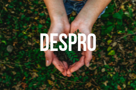 Despro Uruguay